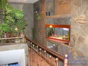  1 -  - <A href=http://aquastudio.kharkov.ua/galery.php?id=8>